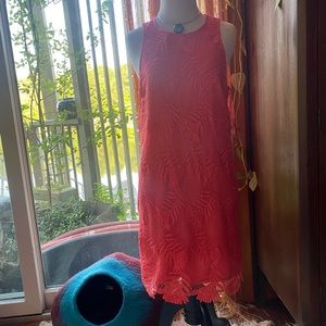 FREE Lovers & Friends Coral Romantic Lace Boho